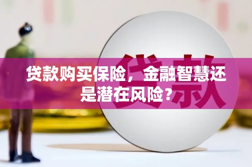梧栖贷款购买保险，金融智慧还是潜在风险？