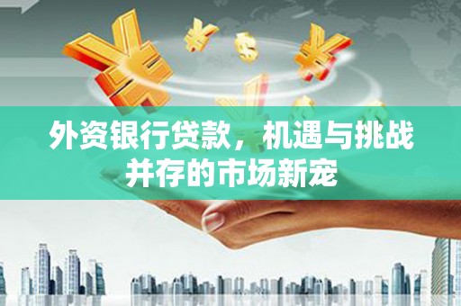 梧栖外资银行贷款，机遇与挑战并存的市场新宠