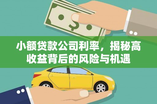 梧栖小额贷款公司利率，揭秘高收益背后的风险与机遇