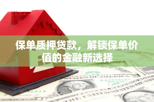 梧栖保单质押贷款，解锁保单价值的金融新选择