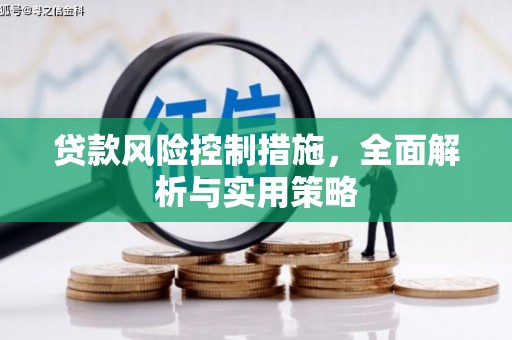 梧栖贷款风险控制措施，全面解析与实用策略