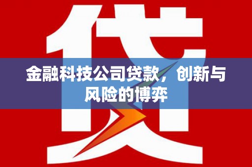 梧栖金融科技公司贷款，创新与风险的博弈