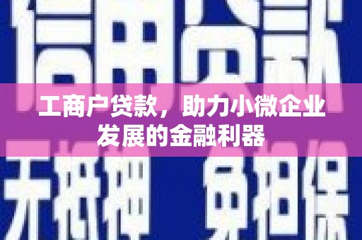 梧栖工商户贷款，助力小微企业发展的金融利器