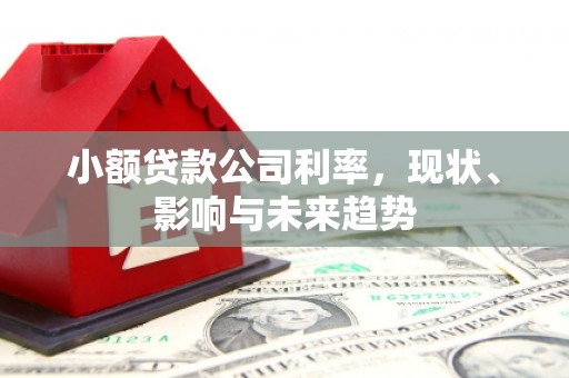 梧栖小额贷款公司利率，现状、影响与未来趋势