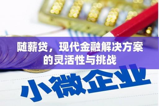 梧栖随薪贷，现代金融解决方案的灵活性与挑战