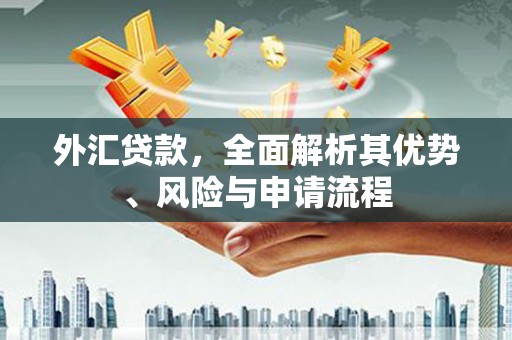 梧栖外汇贷款，全面解析其优势、风险与申请流程
