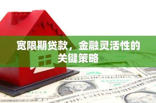 梧栖宽限期贷款，金融灵活性的关键策略