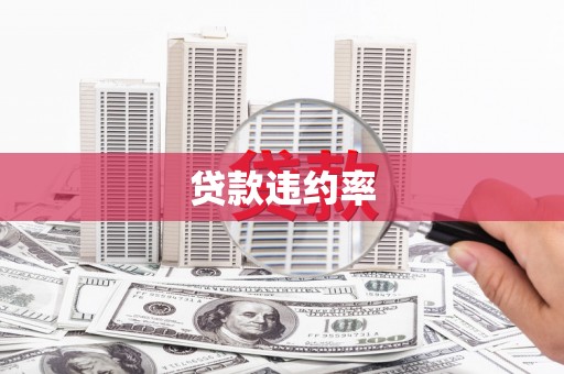 梧栖贷款违约率