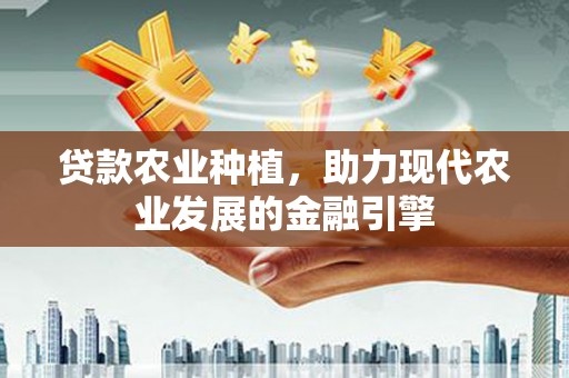 梧栖贷款农业种植，助力现代农业发展的金融引擎
