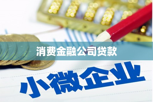 梧栖消费金融公司贷款