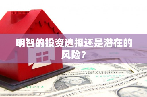 梧栖明智的投资选择还是潜在的风险？