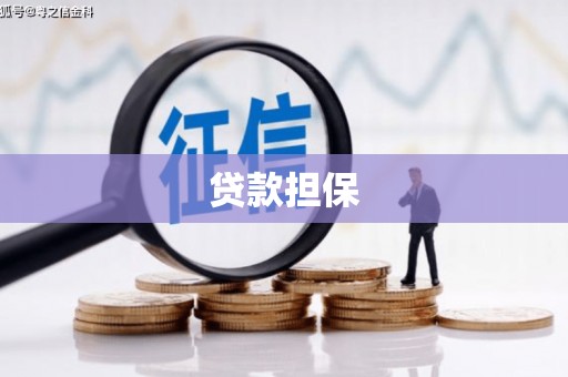 梧栖贷款担保
