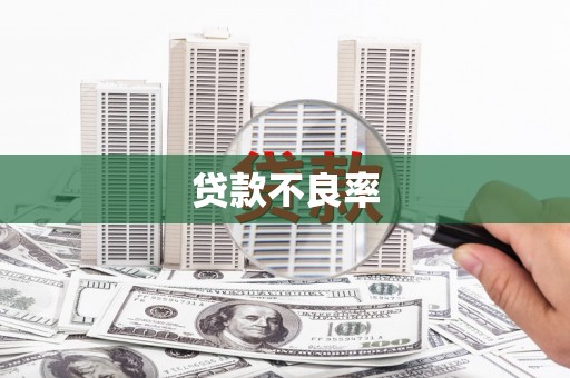 梧栖贷款不良率