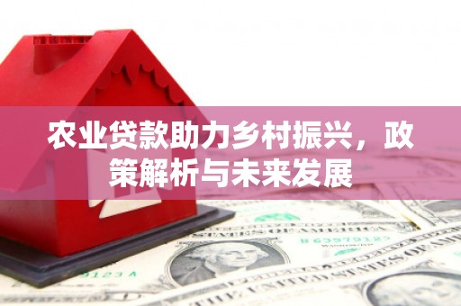 梧栖农业贷款助力乡村振兴，政策解析与未来发展