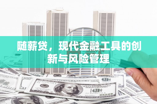 梧栖随薪贷，现代金融工具的创新与风险管理