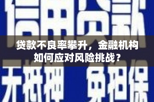 梧栖贷款不良率攀升，金融机构如何应对风险挑战？