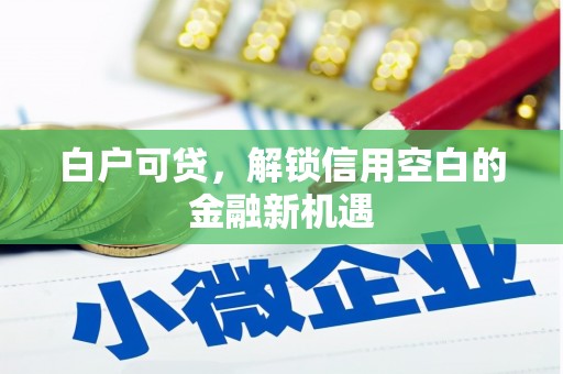 梧栖白户可贷，解锁信用空白的金融新机遇