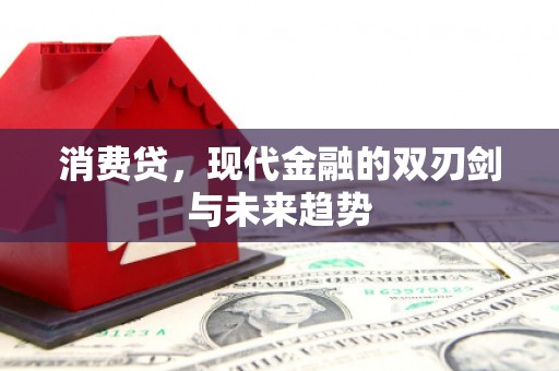 梧栖消费贷，现代金融的双刃剑与未来趋势