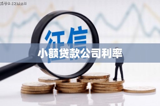 梧栖小额贷款公司利率