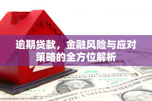 梧栖逾期贷款，金融风险与应对策略的全方位解析