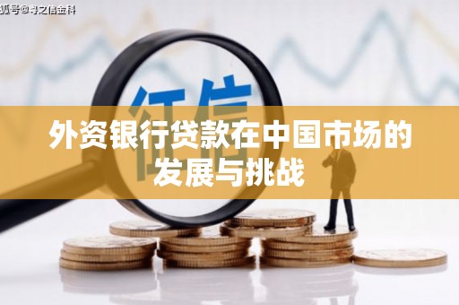 梧栖外资银行贷款在中国市场的发展与挑战
