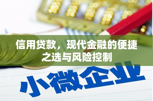 梧栖信用贷款，现代金融的便捷之选与风险控制