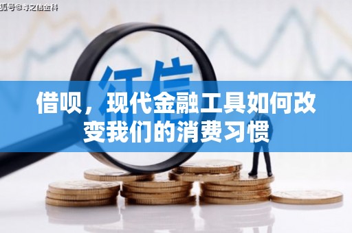 梧栖借呗，现代金融工具如何改变我们的消费习惯