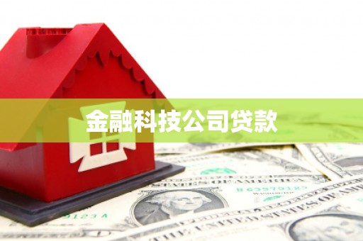 梧栖金融科技公司贷款