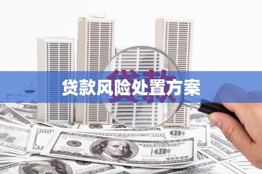 梧栖贷款风险处置方案