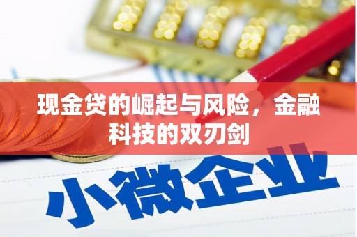 梧栖现金贷的崛起与风险，金融科技的双刃剑