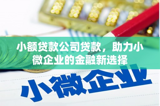 梧栖小额贷款公司贷款，助力小微企业的金融新选择