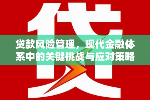 梧栖贷款风险管理，现代金融体系中的关键挑战与应对策略