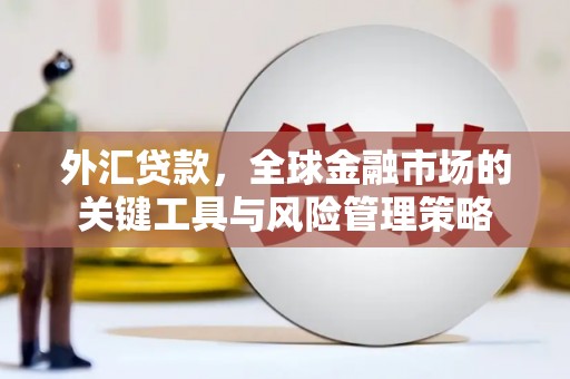 梧栖外汇贷款，全球金融市场的关键工具与风险管理策略