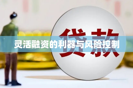 梧栖灵活融资的利器与风险控制