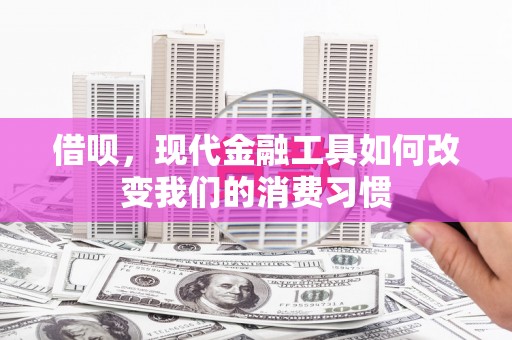 梧栖借呗，现代金融工具如何改变我们的消费习惯