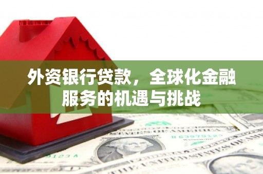 梧栖外资银行贷款，全球化金融服务的机遇与挑战