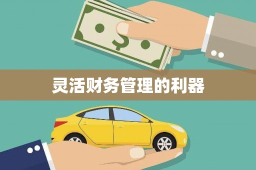 梧栖灵活财务管理的利器