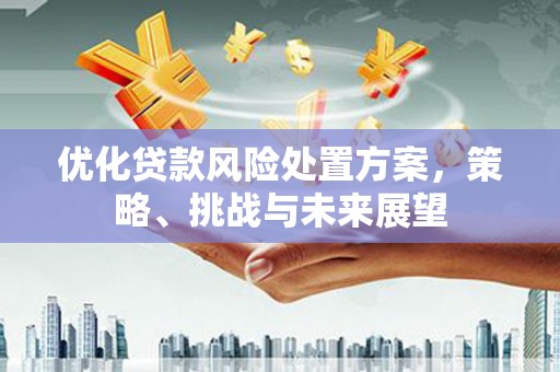 梧栖优化贷款风险处置方案，策略、挑战与未来展望