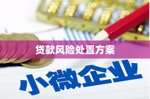 梧栖贷款风险处置方案