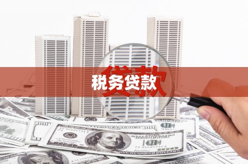 梧栖税务贷款