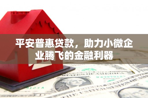 梧栖平安普惠贷款，助力小微企业腾飞的金融利器