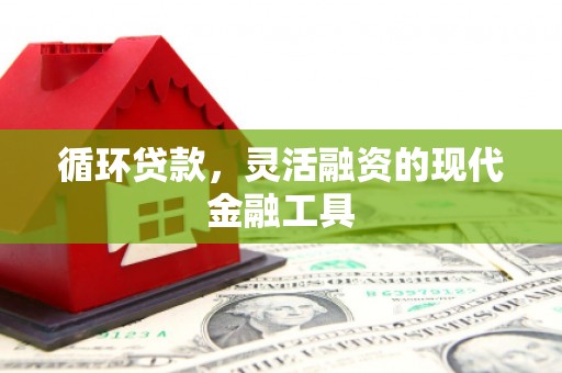 梧栖循环贷款，灵活融资的现代金融工具