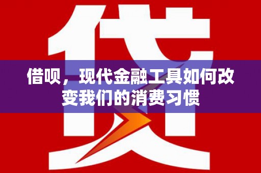 梧栖借呗，现代金融工具如何改变我们的消费习惯