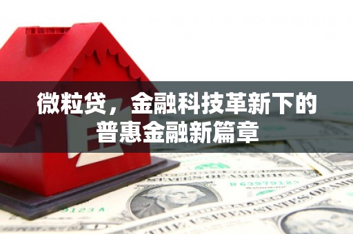 梧栖微粒贷，金融科技革新下的普惠金融新篇章