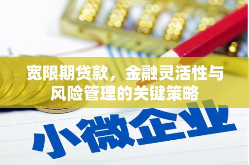 梧栖宽限期贷款，金融灵活性与风险管理的关键策略