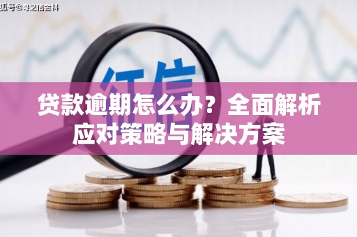 梧栖贷款逾期怎么办？全面解析应对策略与解决方案