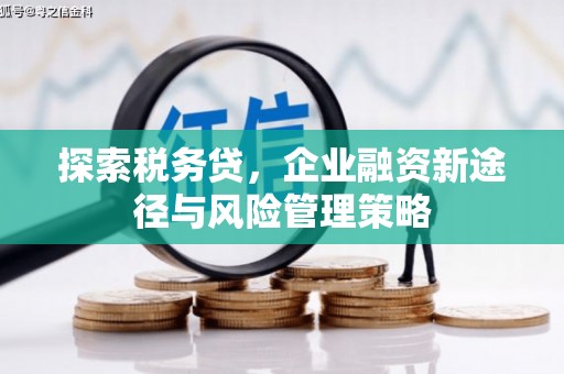 梧栖探索税务贷，企业融资新途径与风险管理策略
