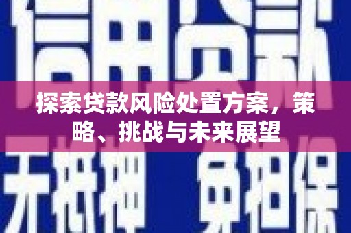 梧栖探索贷款风险处置方案，策略、挑战与未来展望