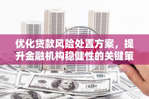 梧栖优化贷款风险处置方案，提升金融机构稳健性的关键策略