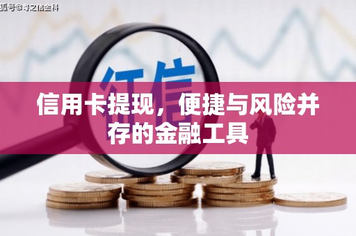 梧栖信用卡提现，便捷与风险并存的金融工具